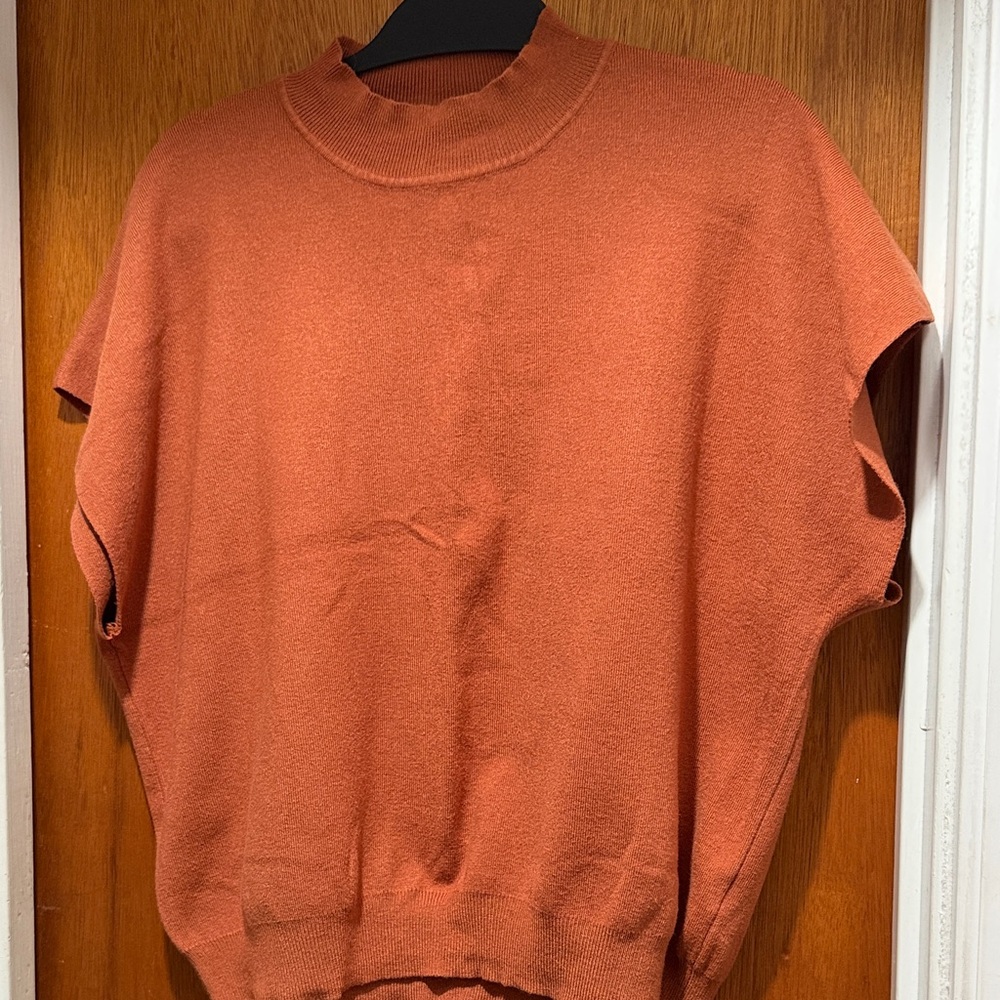 Eesome Terracotta Knit Top